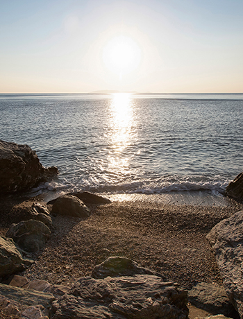 THE BEACH